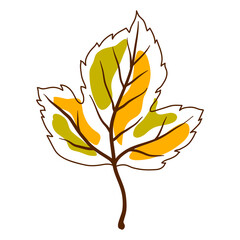 Wall Mural - Illustration of autumn leaf. Decorative falling foliage.