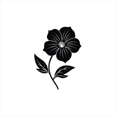 black and white flower flower, floral, vector, nature, leaf, illustration, plant, design, pattern, spring, flowers, pink, bouquet, art, decoration, blossom, summer, 