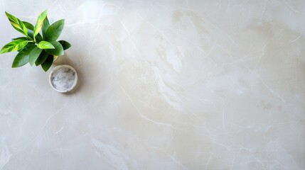 Wall Mural - A white marble bowl sits on a white countertop next to a potted plant