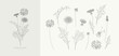 © merfin - Set of dandelion flowers and trendy botanical elements. Hand drawn branches of medical herbs and elegant wildflowers. Botanical rustic trendy greenery vector illustration