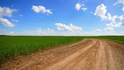 Landscape field road blue sky