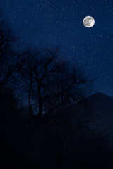Wall Mural - mountain road through the forest on a full moon night. scenic night landscape of country road at nig