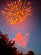 © Chad - Red and gold firework sprays above a tree line