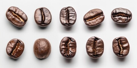 Poster - A close-up view of multiple coffee beans arranged on a white surface, suitable for use in recipes, product displays or educational purposes