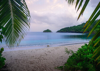 Wall Mural - looking through the trees at a white sand beach in the tropical island of Antigua in the Caribbean.