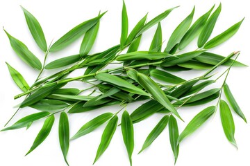 Poster - A close-up shot of a bunch of green leaves placed on a white surface