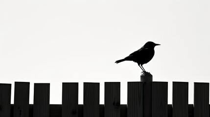 Wall Mural - bird on a fence