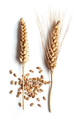 Poster - Two stalks of wheat stand next to a pile of harvested grain, a natural scene