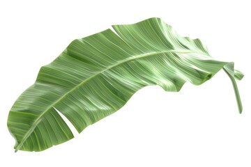 Aufkleber - A close-up image of a single leaf on a clean white background, great for botanical or nature-themed designs
