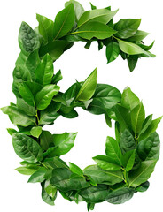 Poster - Numbers in leaves isolated on transparent background. PNG