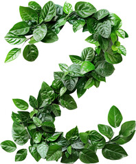 Poster - Numbers in leaves isolated on transparent background. PNG