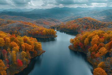 Wall Mural - autumn in the forest