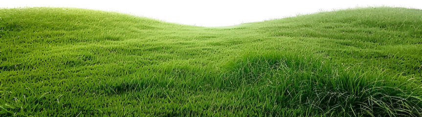 Wall Mural - Green lawn isolated on transparent background. PNG