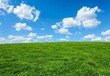 © Robotoyo - A green grassy field with a blue sky and white clouds