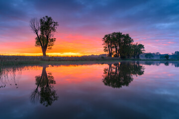 Wall Mural - colorful spring sunrise over the lake