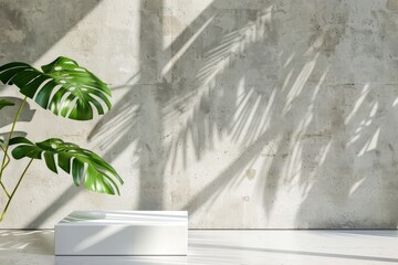 Poster - A minimalist white podium display stand in front of a rough concrete wall with shadows cast from tropical palm leaves