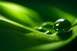 © Putra_hl - Macro shot of a dewdrop on a green leaf in the early morning light