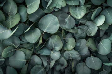 Poster - A detailed, commercial photograph of a textured pattern of eucalyptus leaves in various shades of green
