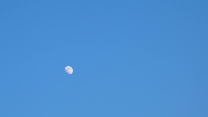 Wall Mural - isolated moon in bright blue sky at evening