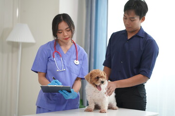 Veterinary Clinic Two doctors were examining the health of a Panshi Tzu puppy while his female assistant took care of a patient. Veterinary Clinic