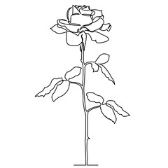 Wall Mural - continuous single drawn one line rose, flower drawn by hand picture silhouette. Line art. doodle