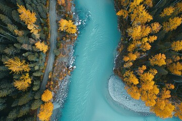 Poster - The blue glacially fed waters of the Kasilof River juxtaposed next to the golden hue of autumn in the boreal forest of Alaska from the perspective of a drone