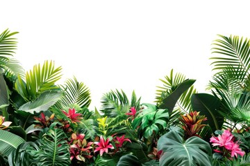 Wall Mural - Tropical border nature flower plant.