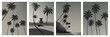 Black and white poster set with tropical landscapes. Palm trees, ocean, lifeguard tower, beach vector illustrations.
