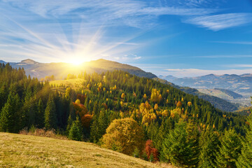 Wall Mural - the mountain autumn landscape