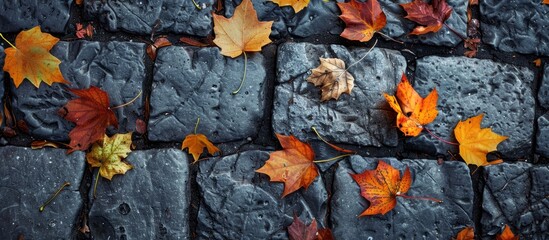 Poster - Fallen autumn leaves scattered on cobblestones, creating a rustic scene with a copy space image.