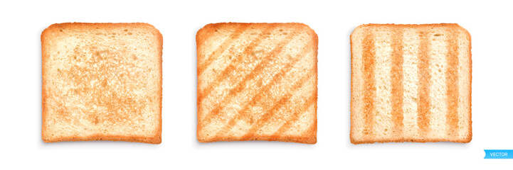 Set of sliced roasted toasts bread isolated on white background. 
Pieces of lightly toasted white bread. Close-up of toast. Top view. Realistic vector set