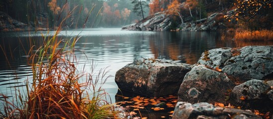 Poster - Dramatic autumn nature scene at a rocky lakeshore with space for text placement; weeds growing on riverbank rocks create a picturesque travel and camping theme.