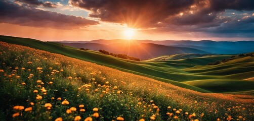 Poster - A beautiful field of flowers with a bright sun in the sky