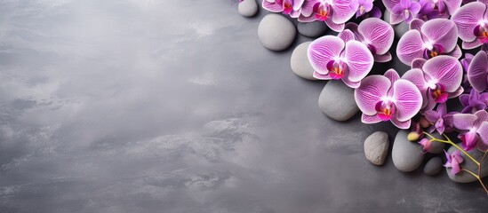 Poster - Gray background adorned with orchid flowers and spa stones in a flat lay composition, leaving room for text in the image.