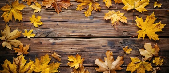 Leinwandbilder - Autumn scenery featuring yellow maple leaves against a vintage brown wooden backdrop with copy space image.