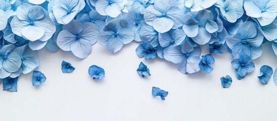 Sticker - A flat lay image featuring blue hydrangea petals on a white background, with copy space image.