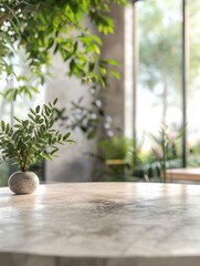 Poster - a small plant sitting on top of a table