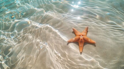 A vibrant orange starfish lies on the pristine sandy seabed, with crystal-clear water gently rippling over it, creating mesmerizing reflections on the sand's surface.