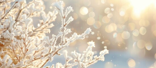 Leinwandbilder - Snow-white branches of an apple tree with hoarfrost, set against a sunny winter background, creating an abstract scene with copy space image.