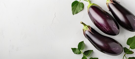 Poster - Fresh organic eggplants with copy space image on white backdrop.