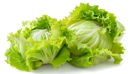 Whole and cut fresh green iceberg lettuces isolated on white