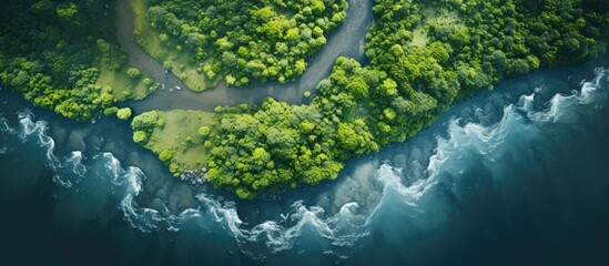 Wall Mural - View from above of a winding river with a copy space image.