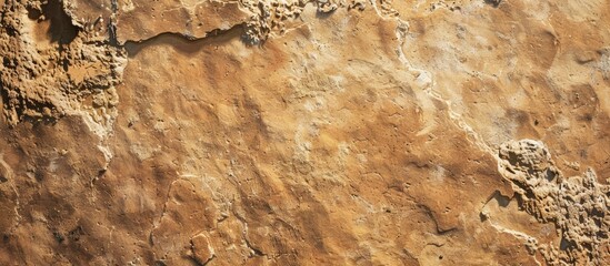 Fototapete - Brown sandstone texture for design with copy space image.