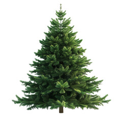 Christmas tree isolated on transparent or white background 