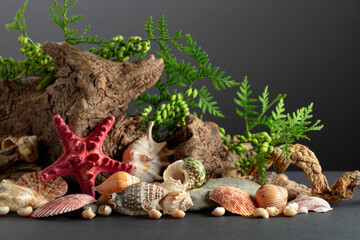 Wall Mural - Abstract nature scene with a composition of seashell, starfish, green branches, and snags.