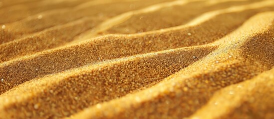 Poster - Close-up of a clear natural sand texture on a golden beach, ideal for a copy space image.