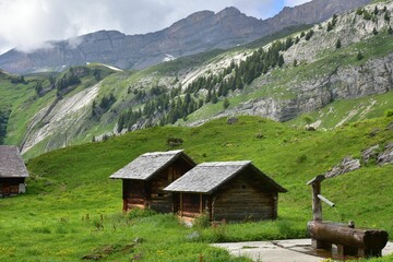 Sticker - Scenic view of wooden cabins in a green mountainous landscape with a water fountain