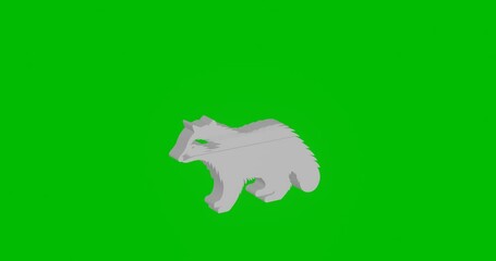 Wall Mural - Animation of rotation of a white raccoon symbol with shadow. Simple and complex rotation. Seamless looped 4k animation on green chroma key background