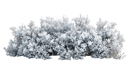 Beautiful Snowy Bush with Frosted Branches, isolated on transparent background