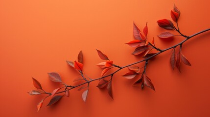 Wall Mural - Orange branch on a vibrant orange solid color backdrop. 